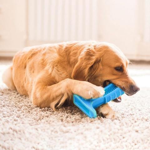 World's Most Effective Dog Toothbrush