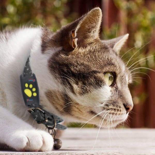 Cat GPS Tracker Locator Device for Pets