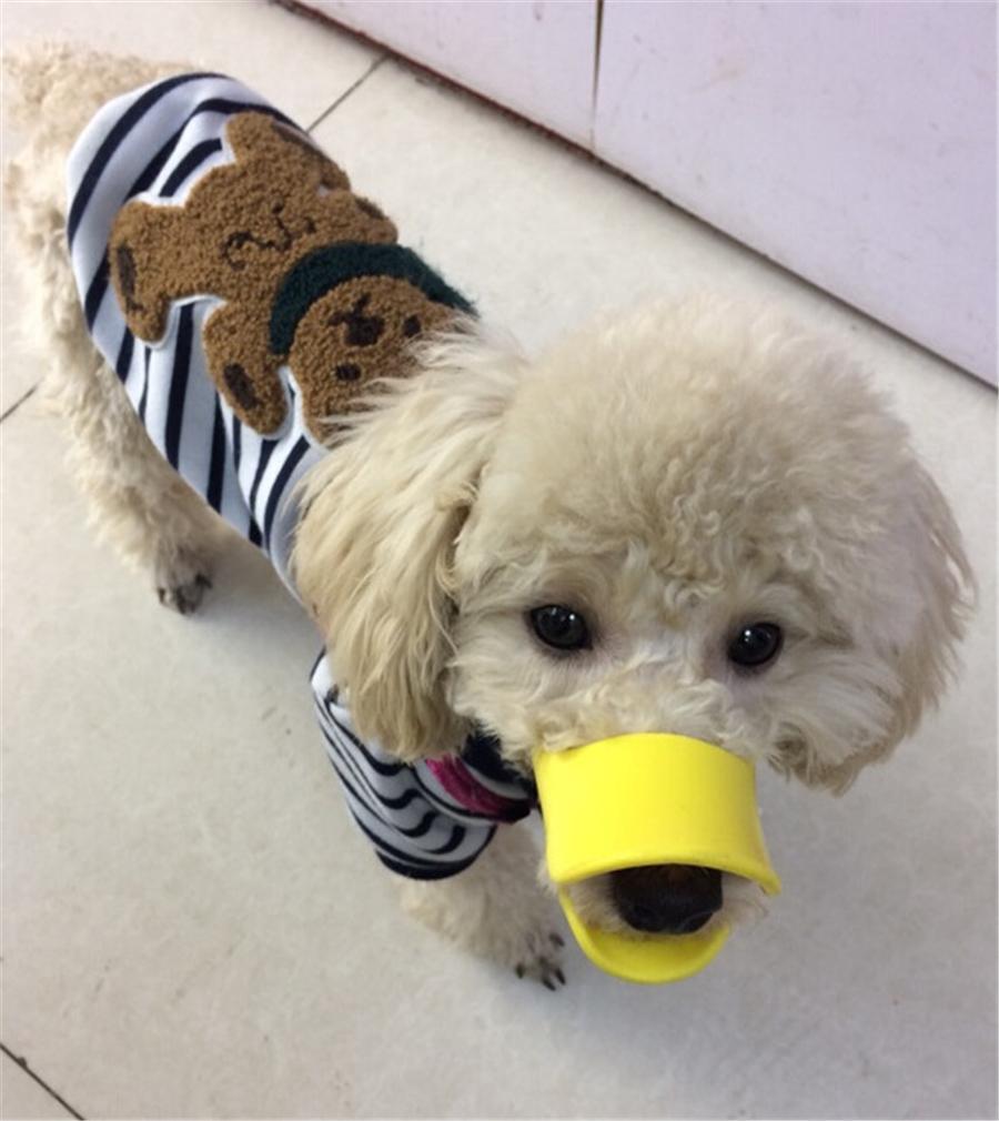 Dog Muzzle - Cutest Adjustable Duck Mouth For Your Dog