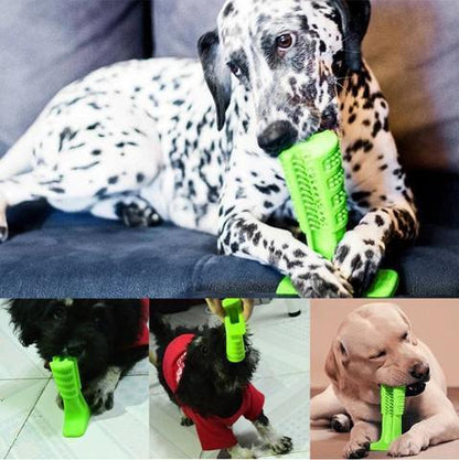 World's Most Effective Dog Toothbrush