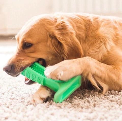 World's Most Effective Dog Toothbrush