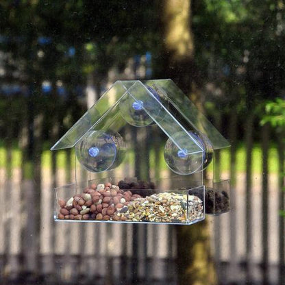 Clear Glass Window Bird Feeder