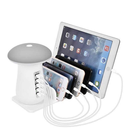 Multi-Port Fast Charging Dock & Lamp