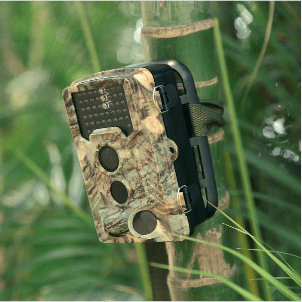 1080P Wildlife Surveillance Game Camera