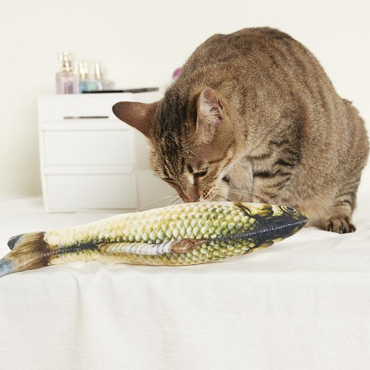 Realistic Fish Toy
