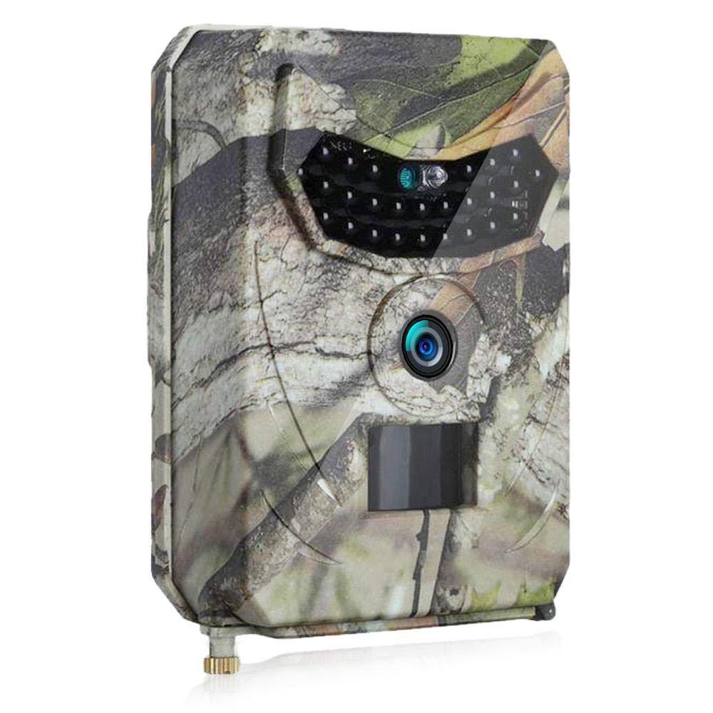 Clear Vision Trail Camera