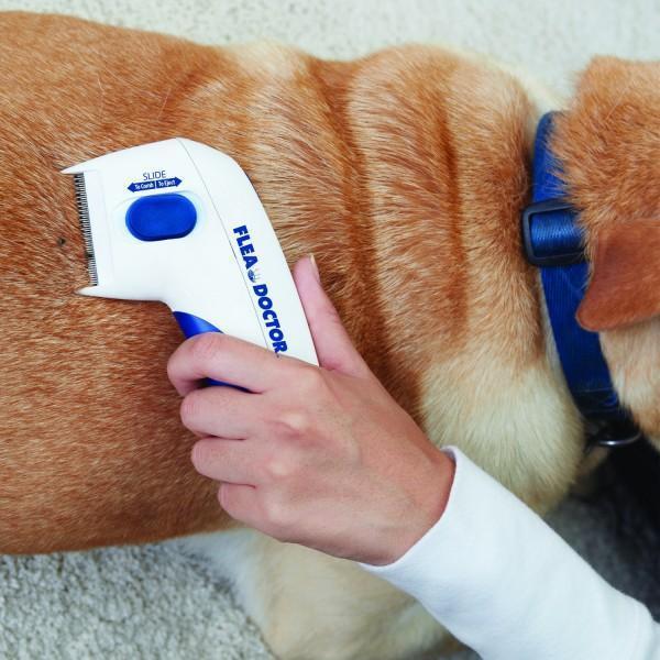 Pet Flea Comb