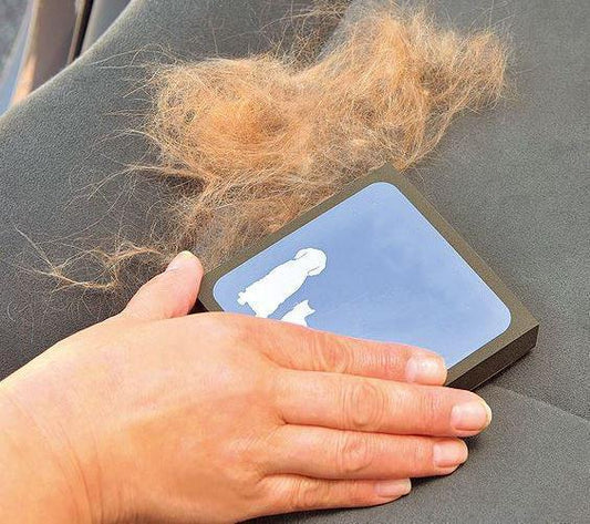 Amazing Pet Hair Cleaner Brush