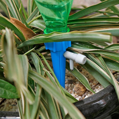 Plant Water Funnel (6/12 pcs)