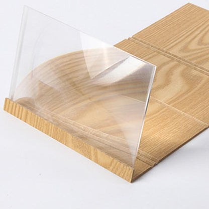 3D Stereoscopic Phone Screen Enlarger